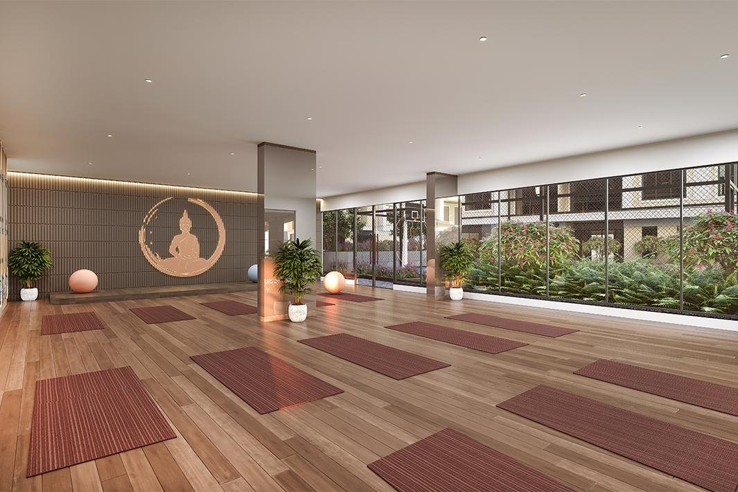 Yoga / GYM
